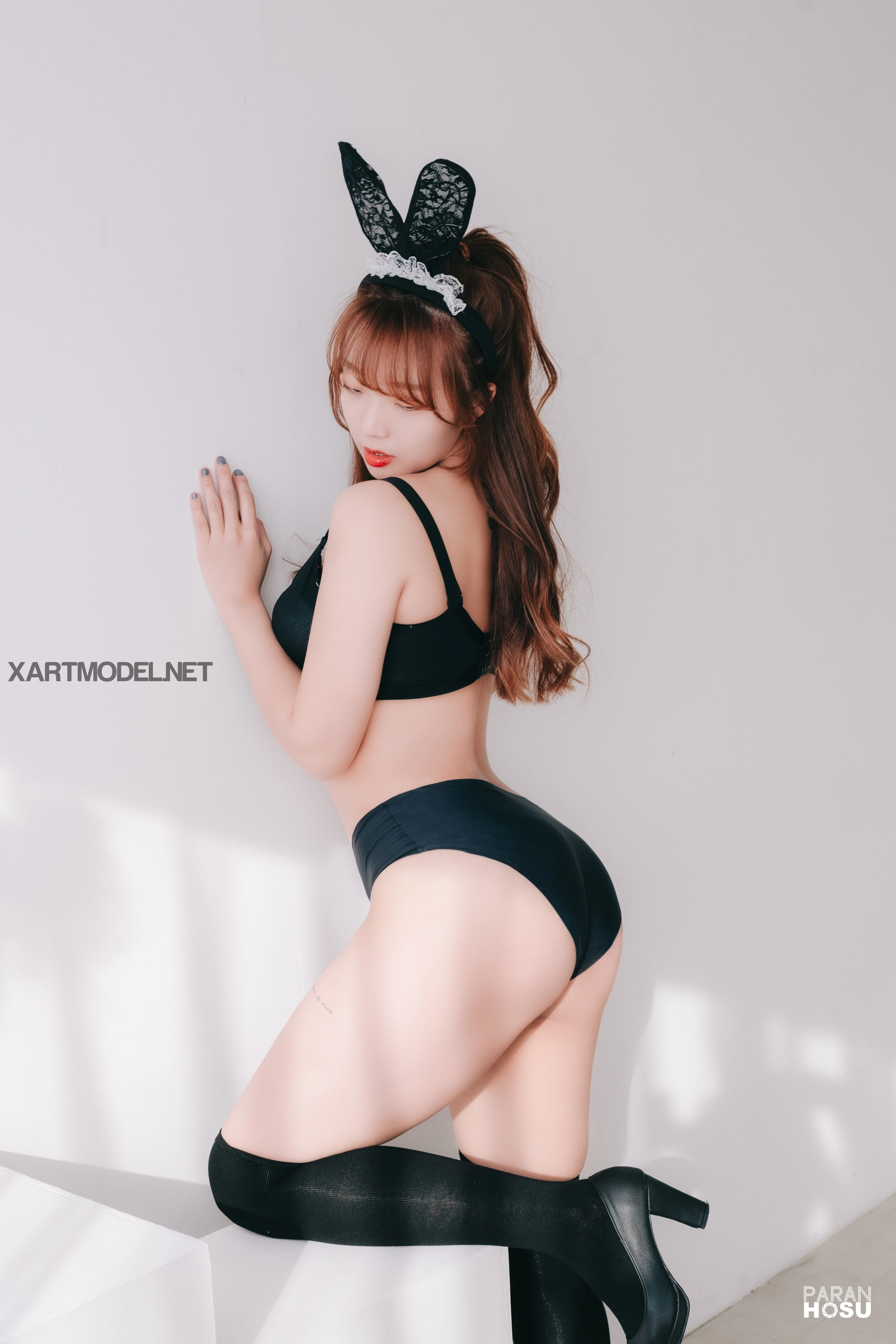 006.Paranhosu -  Koby - Welsh Red & Black 0